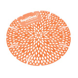 RapidClean Urinal Screen 30 Days Single