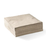 Biopak 2-Ply 1/4 Fold Corner Embossed Dinner BioNapkin (Carton 1000)
