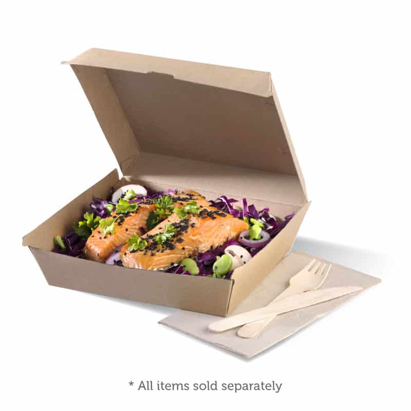 Biopak Family box - 290 x 170 x 85mm - kraft (Carton 100)