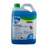Agar Bellevue Spray & Wipe Window Cleaner