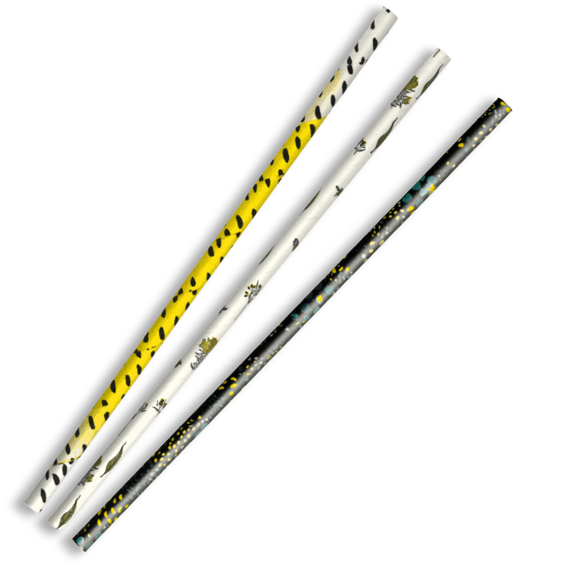 Biopak 6mm Regular BioStraw (Carton 2500)
