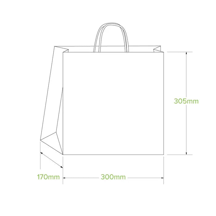 Biopak Twist Handle Kraft Paper Bags Various Sizes